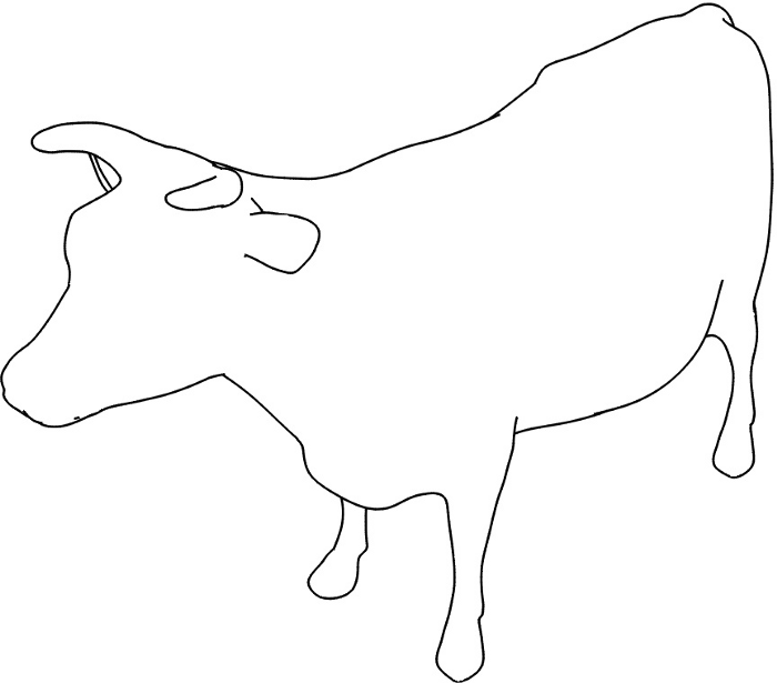 Cow contours