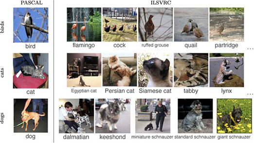 ImageNet dog category figure