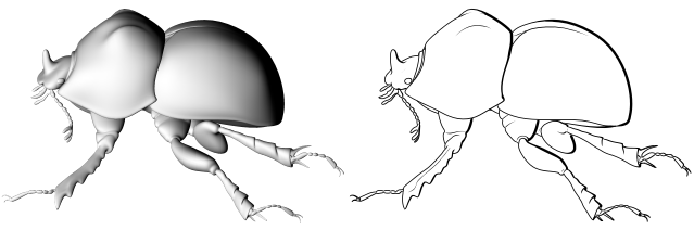 Beetle renderings