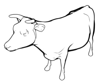 Line rendering of a cow