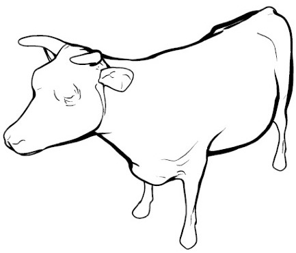 Computer-generated line rendering of a cow