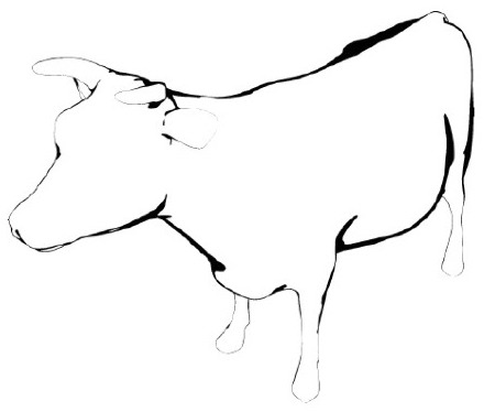 Thresholded Lambertian cow