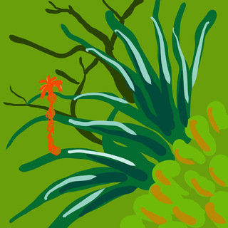 Aloe painting