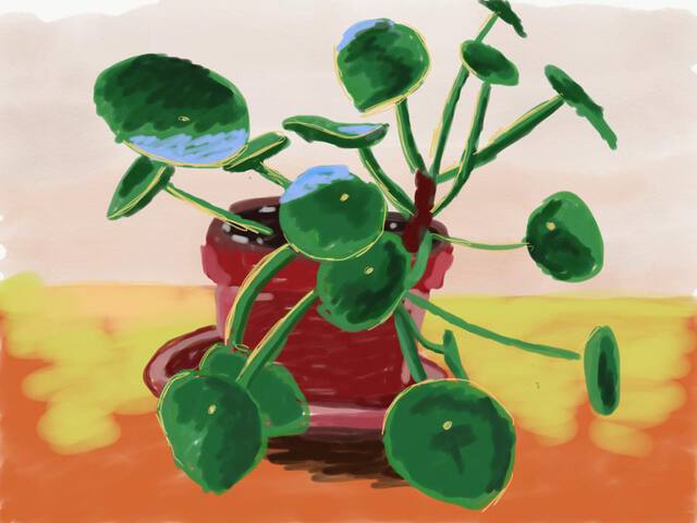 Pilea painting